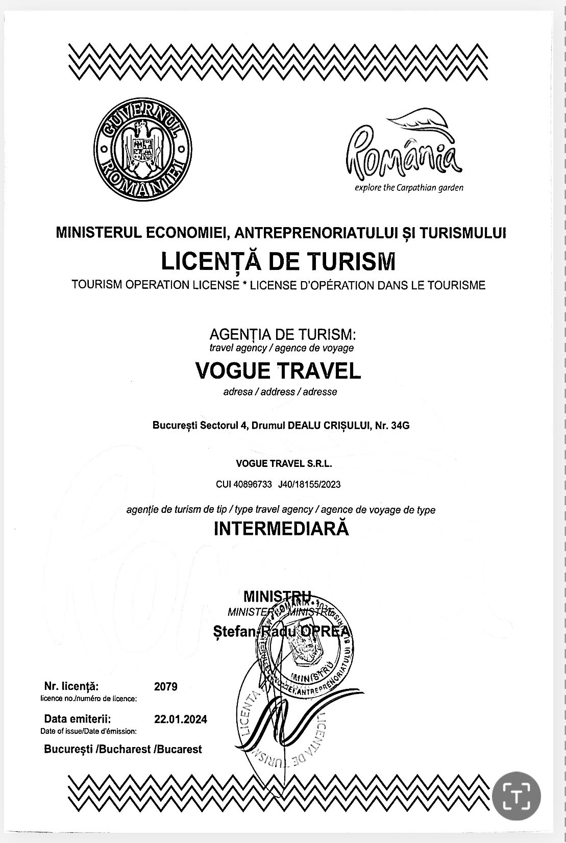Licenta Vogue N (3)